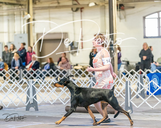 20240330-DSC07455