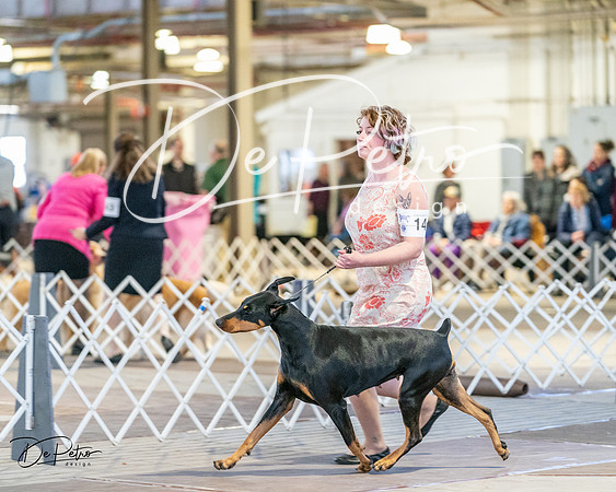 20240330-DSC07468