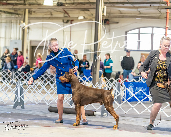 20240330-DSC07507