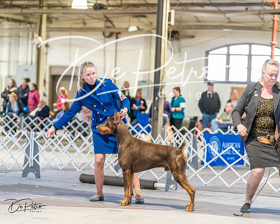 20240330-DSC07508