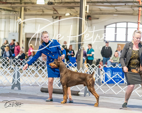 20240330-DSC07509