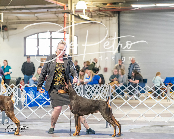 20240330-DSC07516