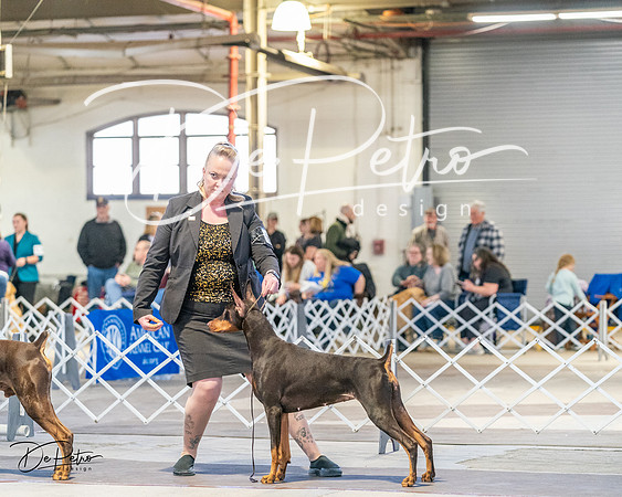 20240330-DSC07517