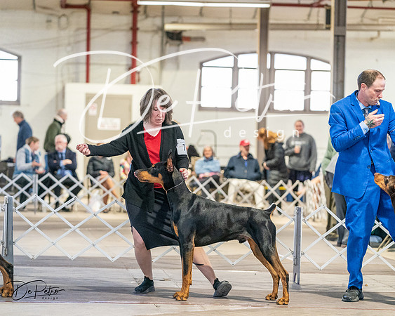 20240330-DSC07546