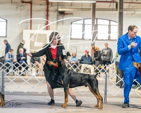 20240330-DSC07547