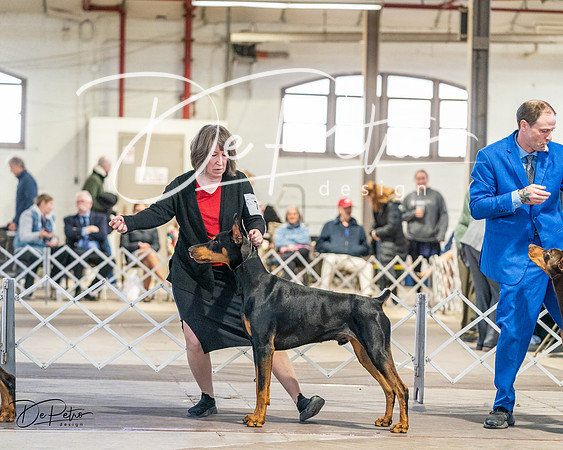 20240330-DSC07549