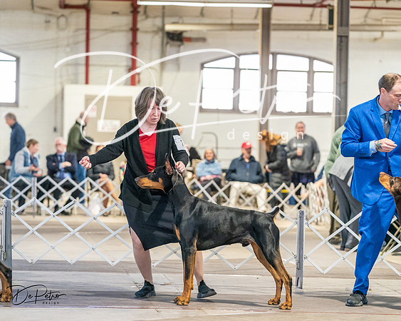 20240330-DSC07551