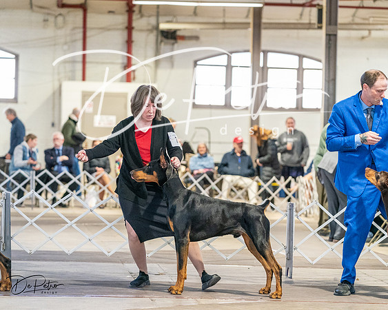 20240330-DSC07550