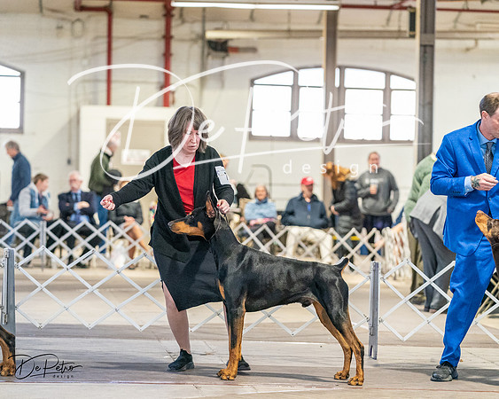 20240330-DSC07552