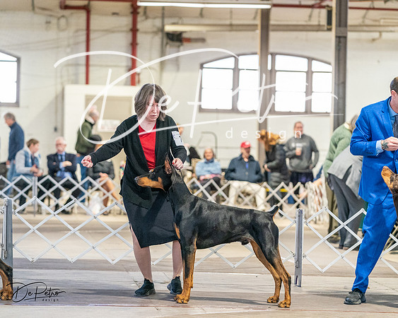 20240330-DSC07553