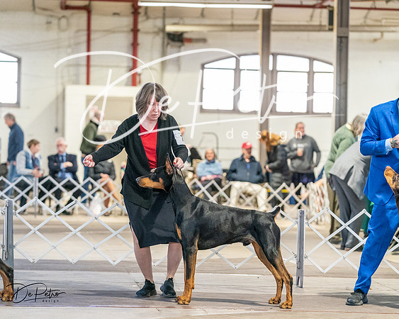 20240330-DSC07554