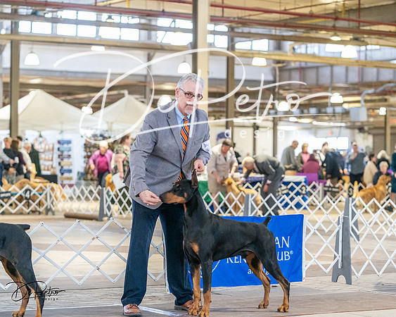 20240330-DSC07556