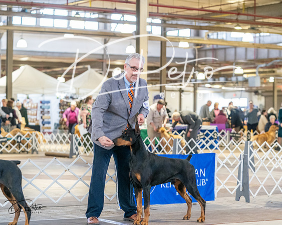 20240330-DSC07557