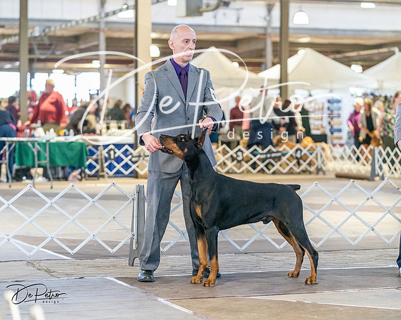 20240330-DSC07563