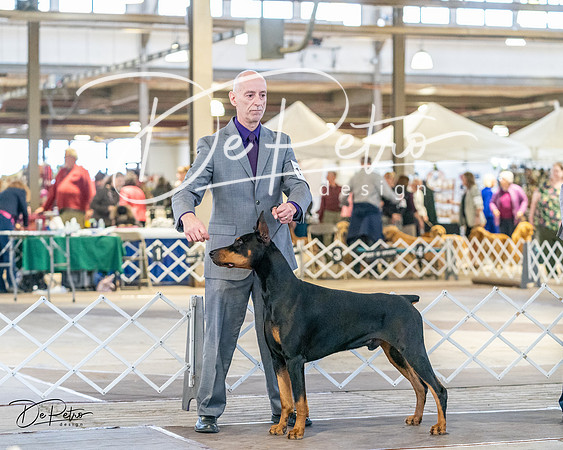 20240330-DSC07568