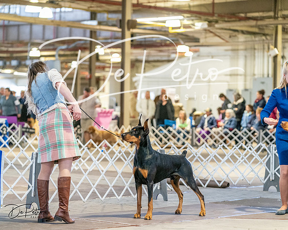 20240330-DSC07587