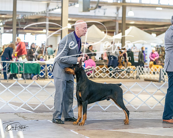 20240330-DSC07596