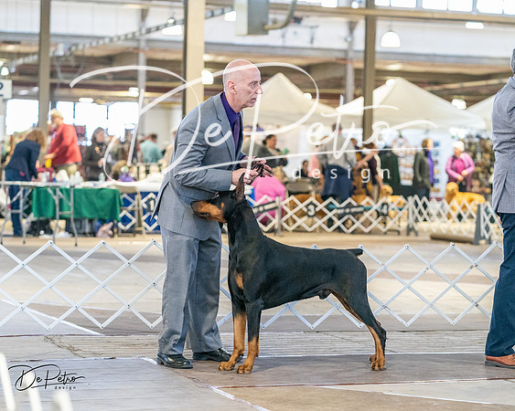 20240330-DSC07597