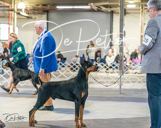 20240330-DSC07600