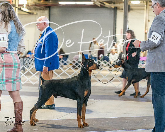 20240330-DSC07603
