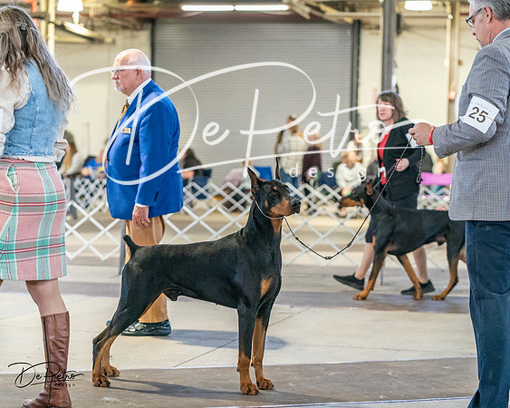 20240330-DSC07605