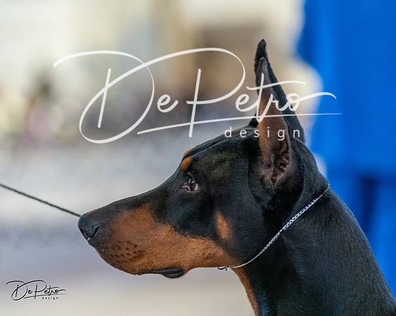 20240330-DSC07609