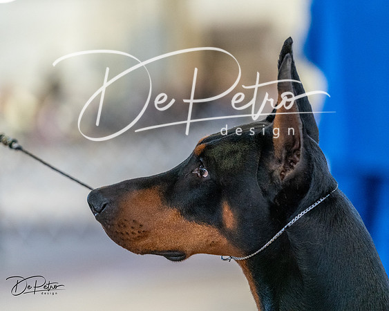 20240330-DSC07611