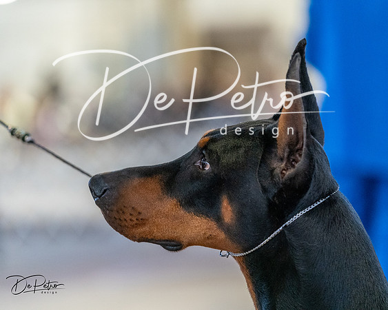 20240330-DSC07612