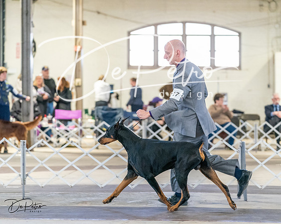 20240330-DSC07619