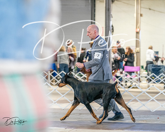 20240330-DSC07629