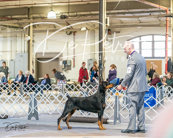 20240330-DSC07630