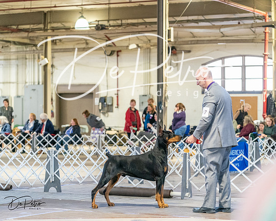 20240330-DSC07631