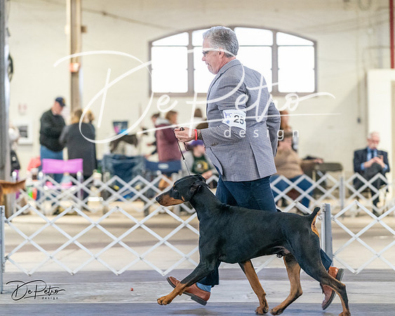 20240330-DSC07637