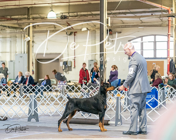 20240330-DSC07632