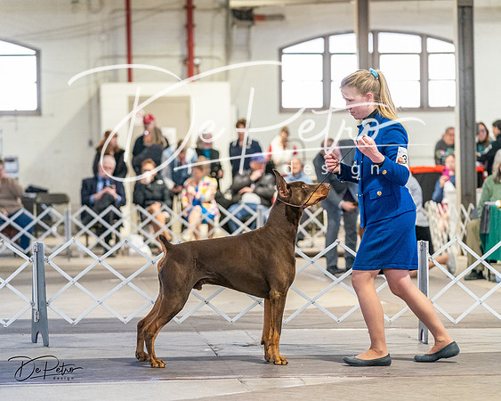 20240330-DSC07678