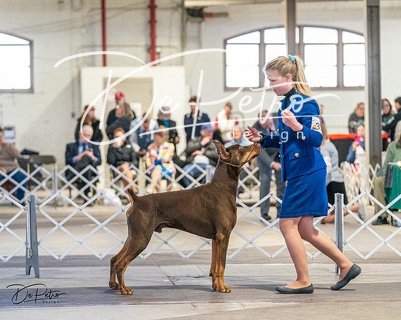 20240330-DSC07679