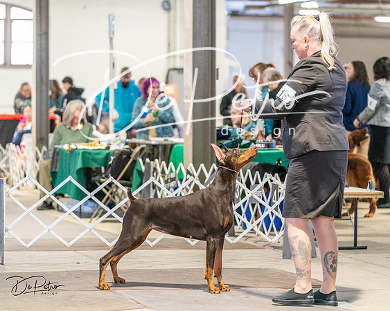 20240330-DSC07681