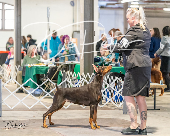 20240330-DSC07682