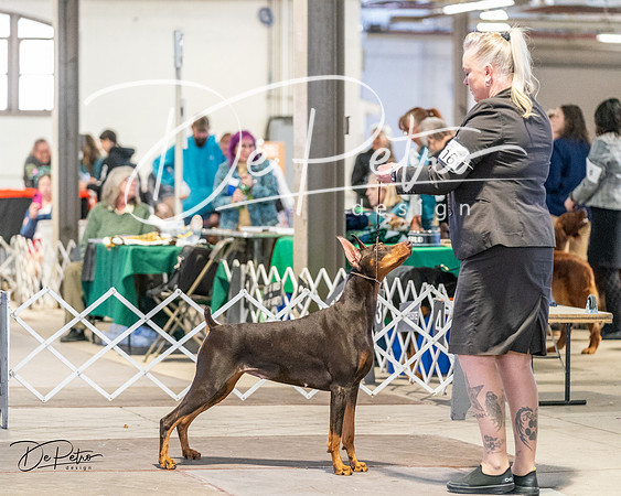 20240330-DSC07683