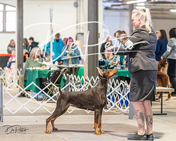 20240330-DSC07684