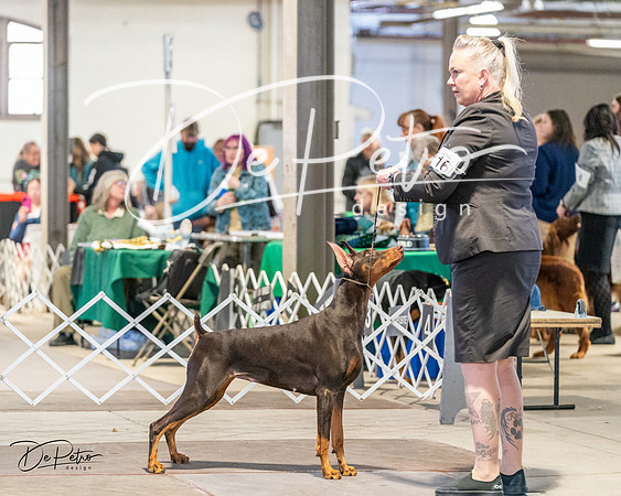 20240330-DSC07685