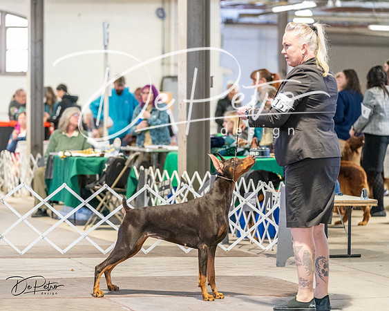 20240330-DSC07686