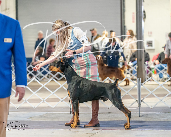 20240330-DSC07732