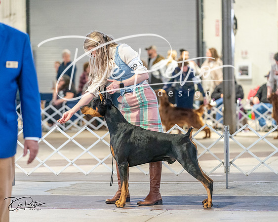 20240330-DSC07735