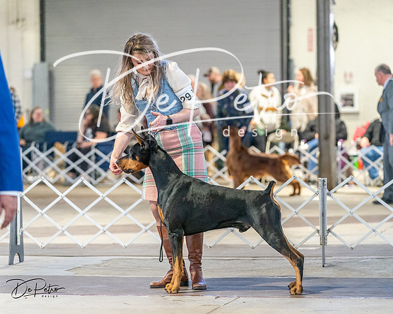 20240330-DSC07736