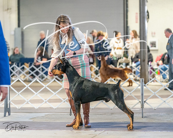 20240330-DSC07737