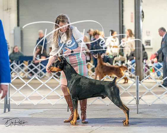 20240330-DSC07738