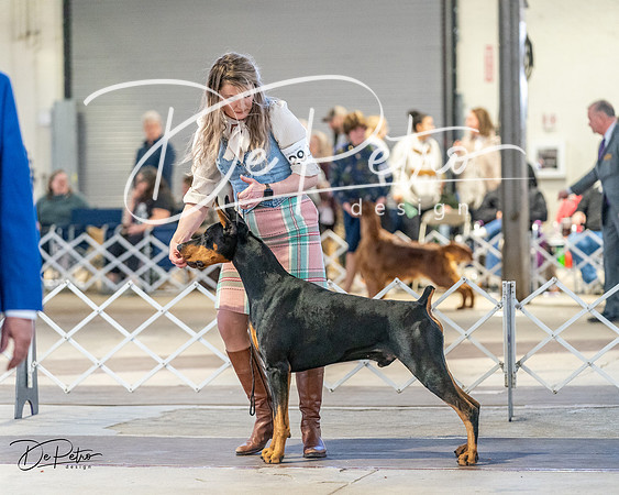20240330-DSC07739