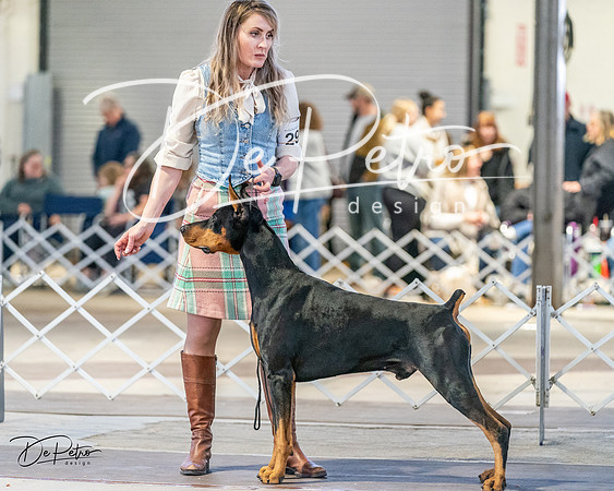 20240330-DSC07753