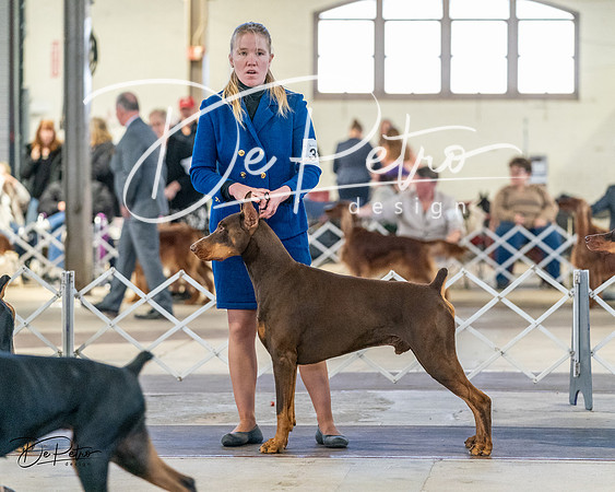 20240330-DSC07768